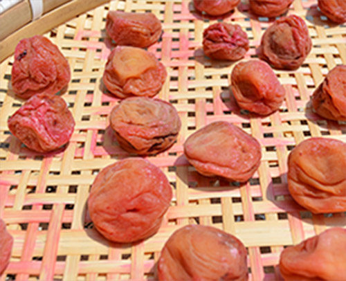 Check the Condition of Dried Plums