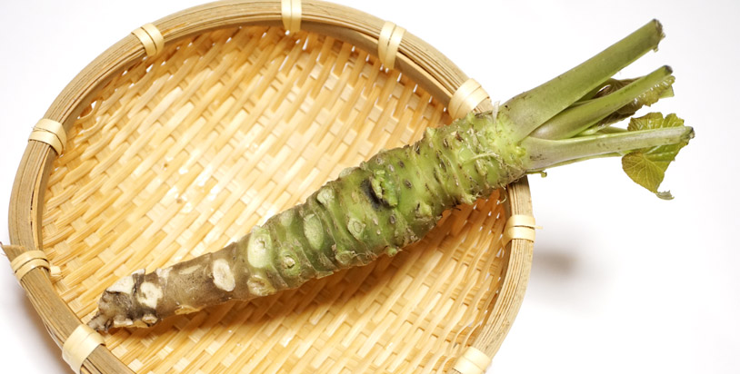 Wasabi 101 (How to Grate Wasabi Root)