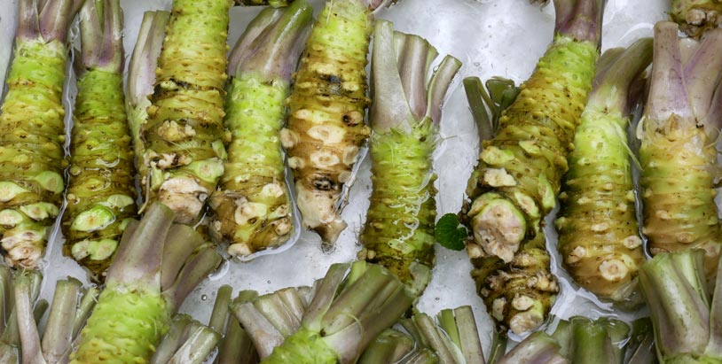 What is Wasabi, and why do We Eat it with Sushi?