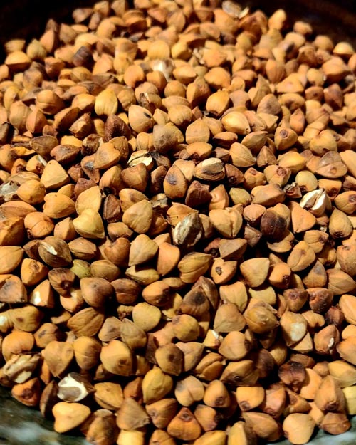 The Benefit of Buckwheat – Takaokaya