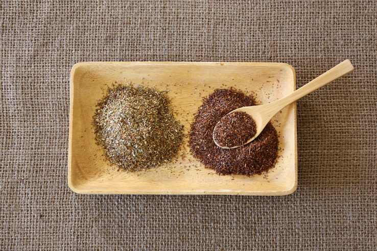 rooibos_tea_differences