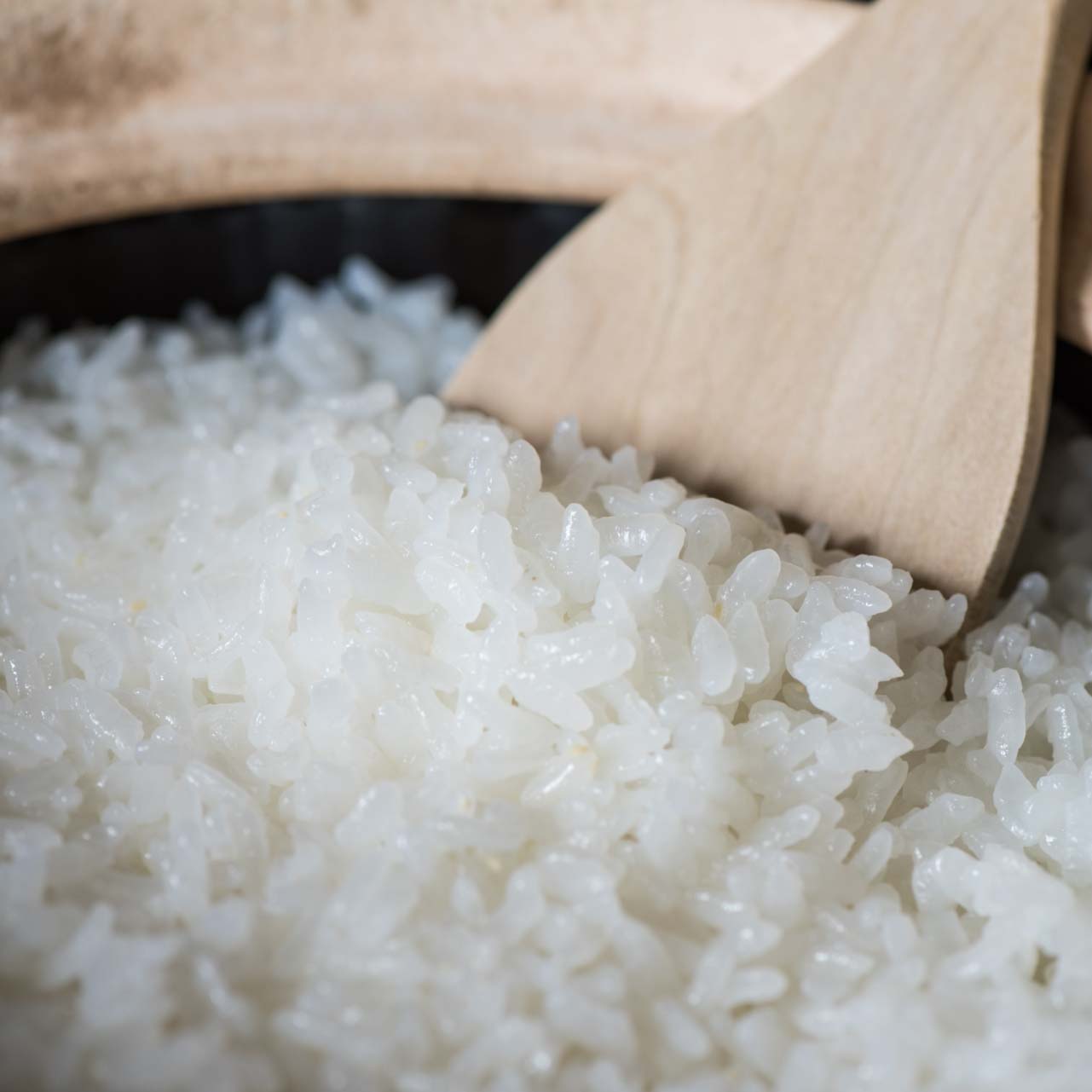 Какой рис в китае. Японский рис. Рис в Японии. Сбор и обработка риса. Рис японка.