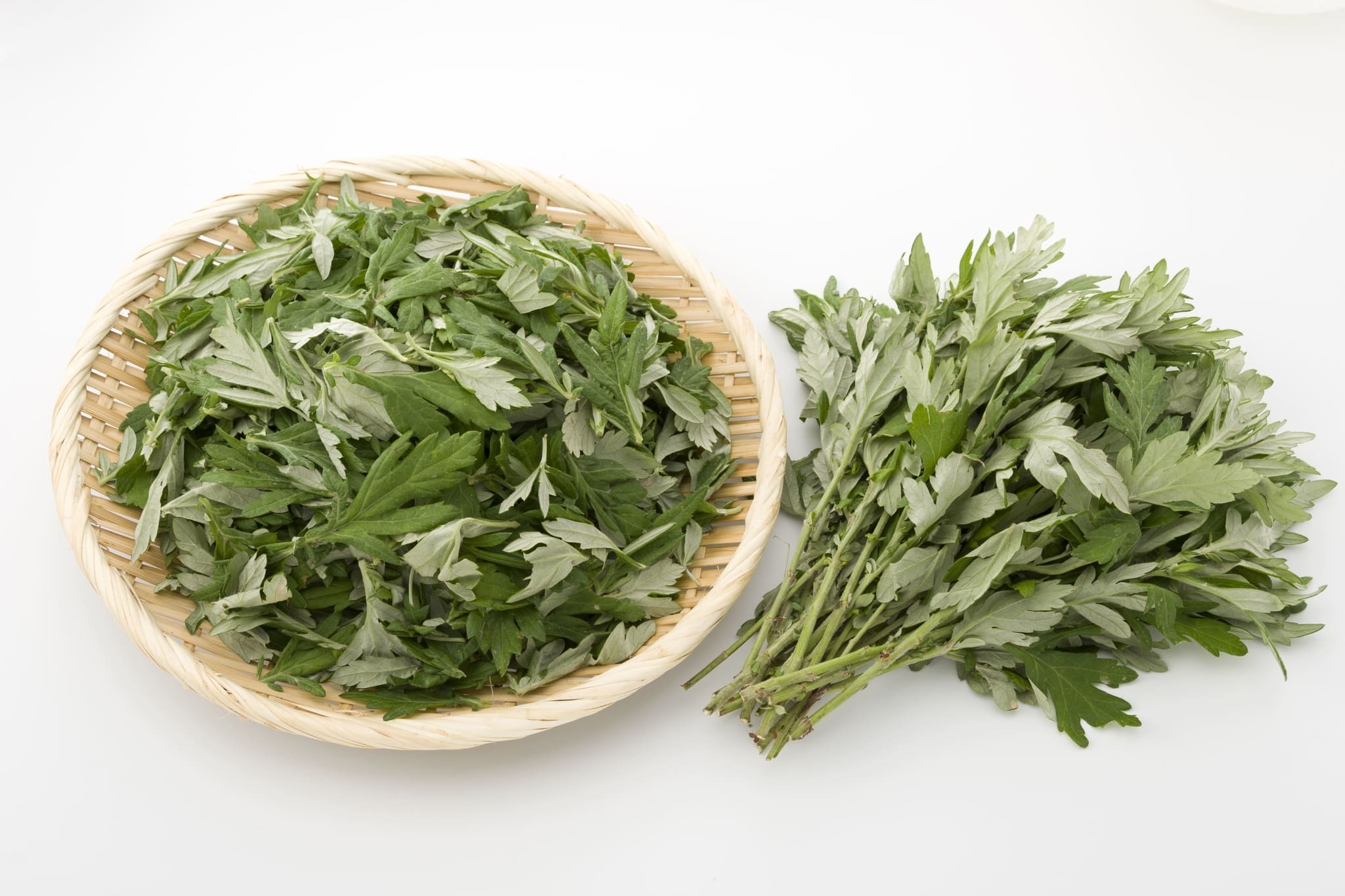 How To Make Mugwort Tea For Period Morin Upolliveng36