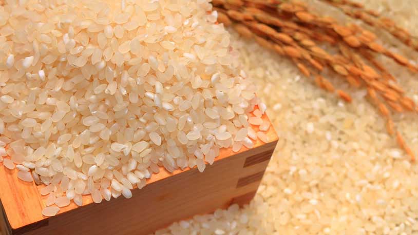 rice to make rice vinegar